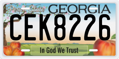 GA license plate CEK8226