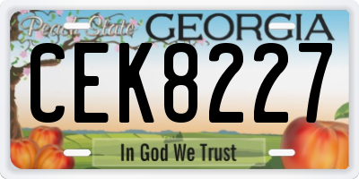 GA license plate CEK8227