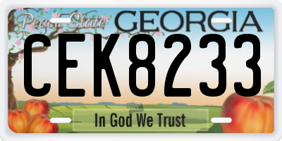 GA license plate CEK8233