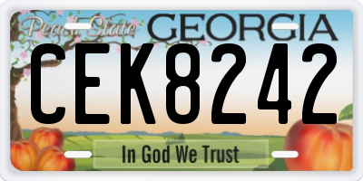 GA license plate CEK8242