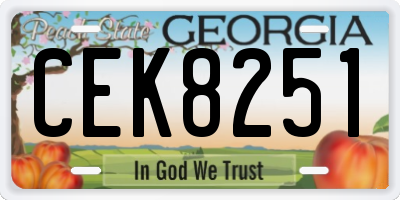 GA license plate CEK8251
