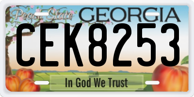 GA license plate CEK8253