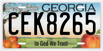 GA license plate CEK8265