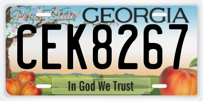 GA license plate CEK8267