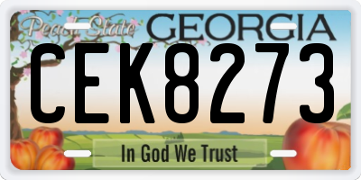 GA license plate CEK8273