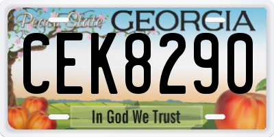 GA license plate CEK8290