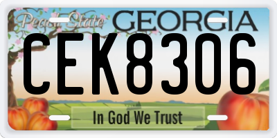 GA license plate CEK8306