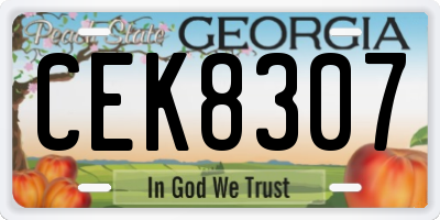 GA license plate CEK8307