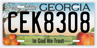 GA license plate CEK8308