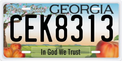 GA license plate CEK8313