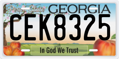 GA license plate CEK8325