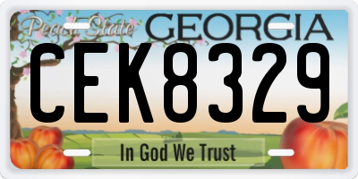 GA license plate CEK8329