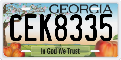 GA license plate CEK8335