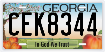 GA license plate CEK8344