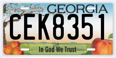 GA license plate CEK8351