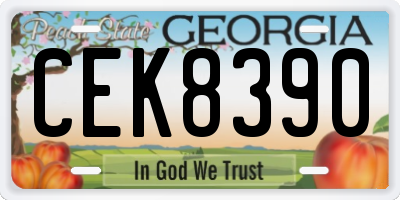 GA license plate CEK8390