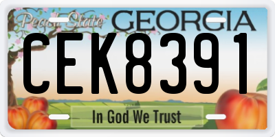 GA license plate CEK8391