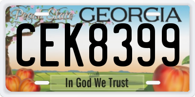 GA license plate CEK8399