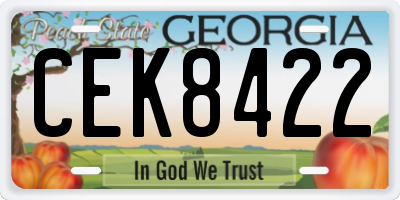 GA license plate CEK8422