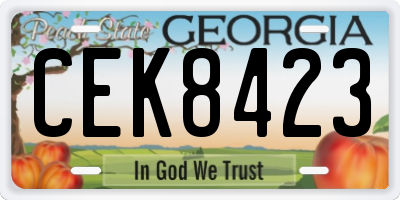 GA license plate CEK8423