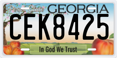 GA license plate CEK8425