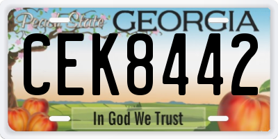 GA license plate CEK8442