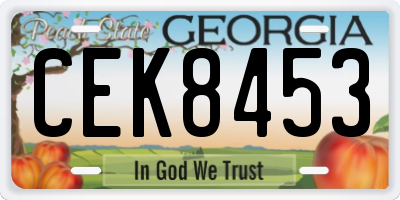 GA license plate CEK8453