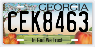 GA license plate CEK8463