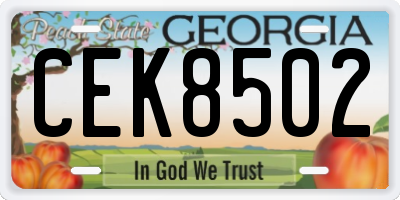 GA license plate CEK8502