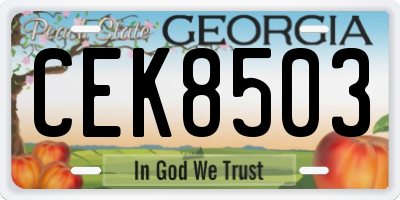 GA license plate CEK8503