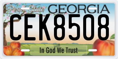 GA license plate CEK8508