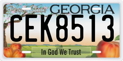 GA license plate CEK8513
