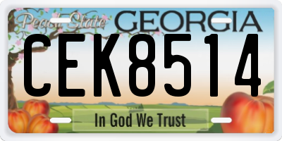 GA license plate CEK8514