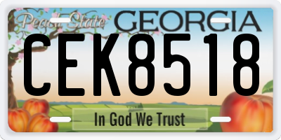 GA license plate CEK8518