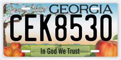 GA license plate CEK8530