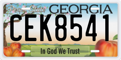GA license plate CEK8541
