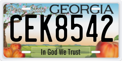 GA license plate CEK8542