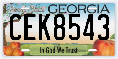 GA license plate CEK8543