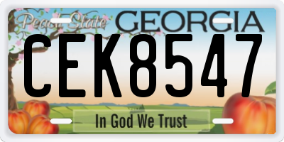 GA license plate CEK8547
