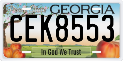 GA license plate CEK8553