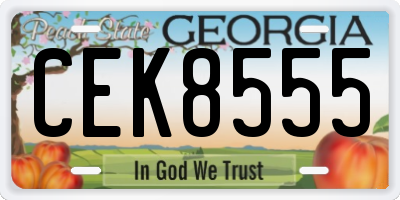 GA license plate CEK8555