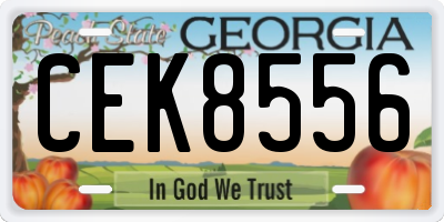 GA license plate CEK8556
