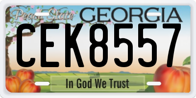 GA license plate CEK8557