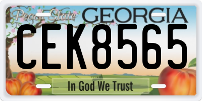 GA license plate CEK8565