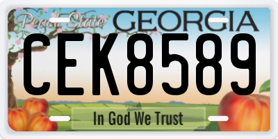 GA license plate CEK8589