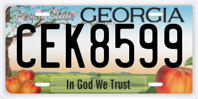 GA license plate CEK8599