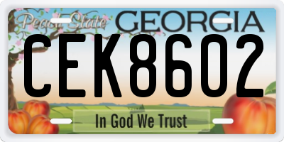 GA license plate CEK8602