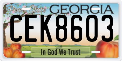 GA license plate CEK8603