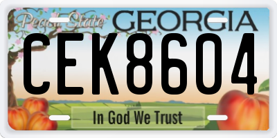 GA license plate CEK8604