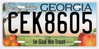 GA license plate CEK8605